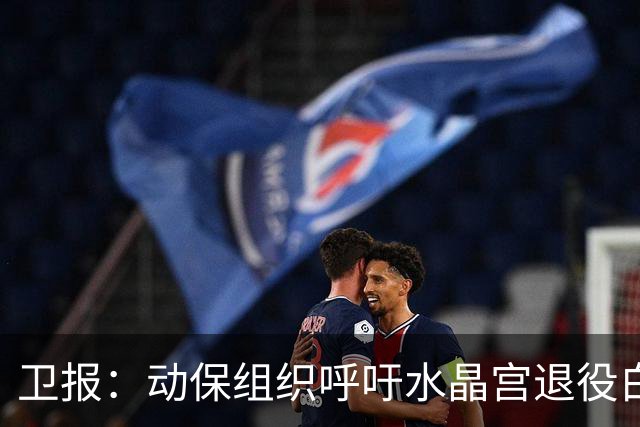 卫报：动保组织呼吁水晶宫退役白头海雕，别再用活体动物当吉祥物